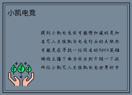 小凯电竞
